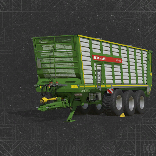 Bergmann HTW 65 S